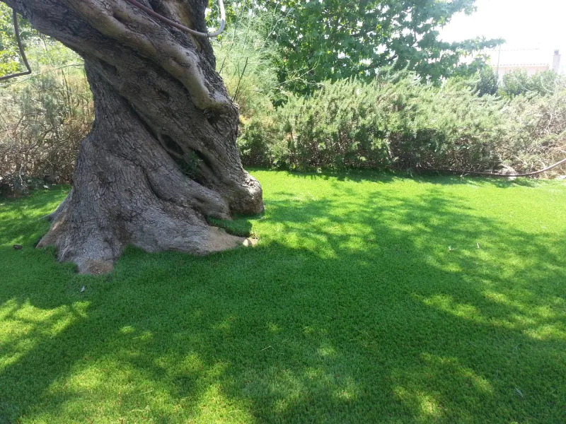 Nuestros trabajos de jardineria