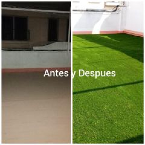 Disfrutar de un jardín en mi terraza….. 